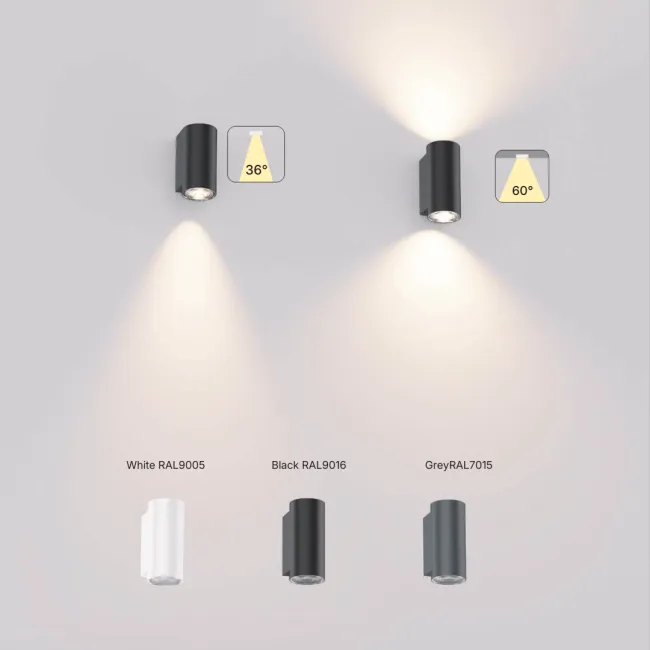 WL195 Housing color
